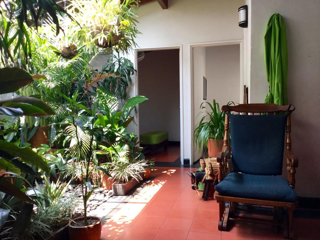 Saman Hostel Medellín Eksteriør billede
