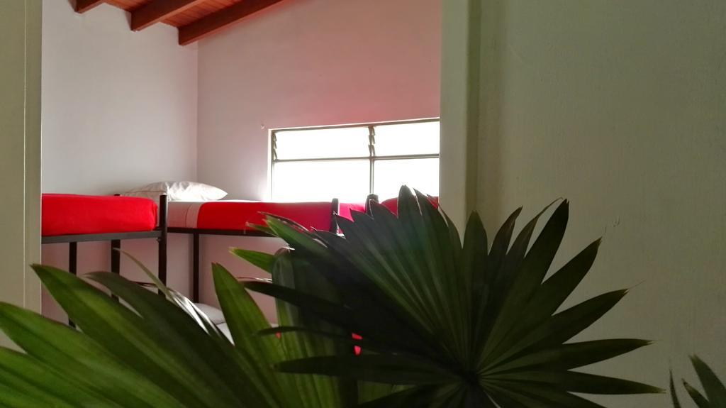 Saman Hostel Medellín Eksteriør billede