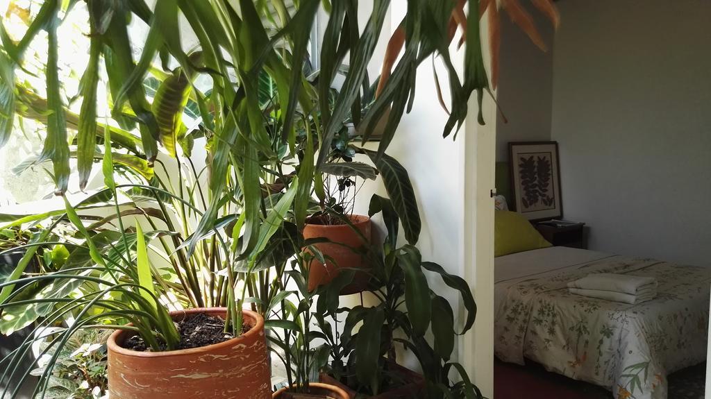 Saman Hostel Medellín Eksteriør billede