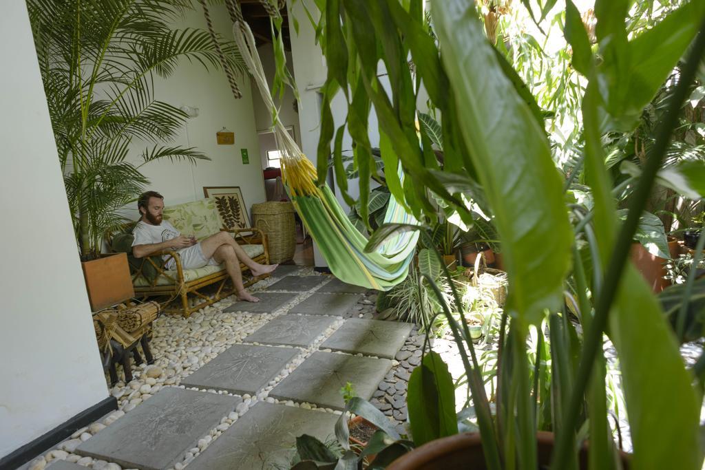 Saman Hostel Medellín Eksteriør billede