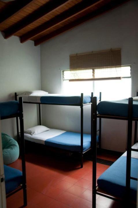 Saman Hostel Medellín Eksteriør billede