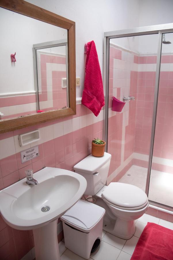 Saman Hostel Medellín Eksteriør billede